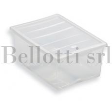 SPRING SCATOLA L 55X39X25 011319 B&F